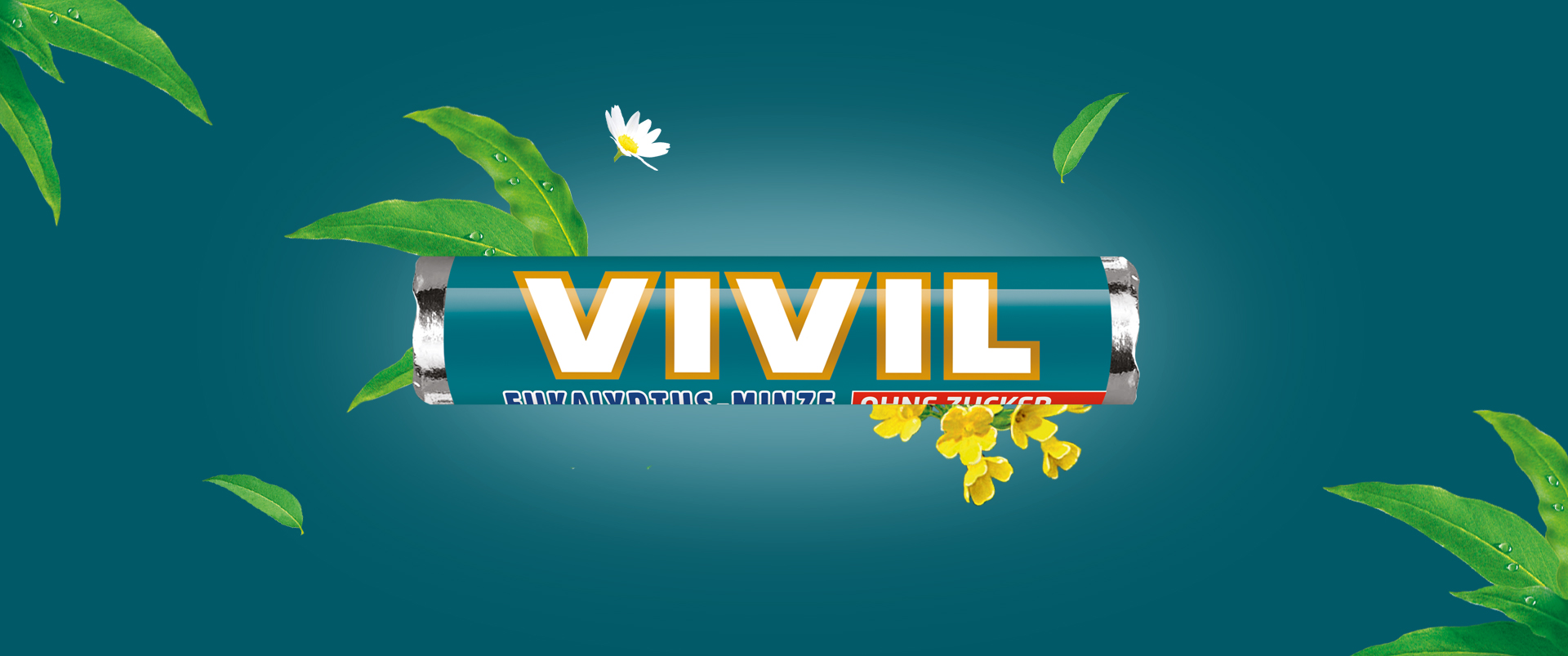 Teaser_Rollen_Euka_Desktop_International Teaser_Rollen_Euka_Desktop_International